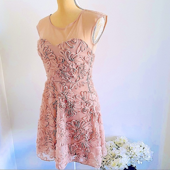 💕Fit and Flare Mesh Dress SZ S - Picture 4 of 15